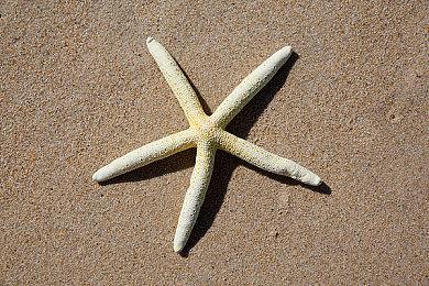 继宣布放弃PS VR的支持后 《我的世界》也将于明年终止对PC VR的支持